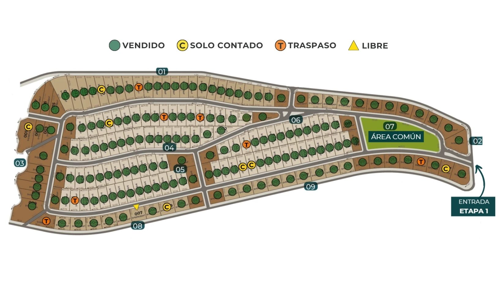 Lotificación 1ra Etapa